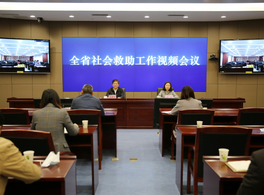 省民政厅召开全省社会救助工作视频会议